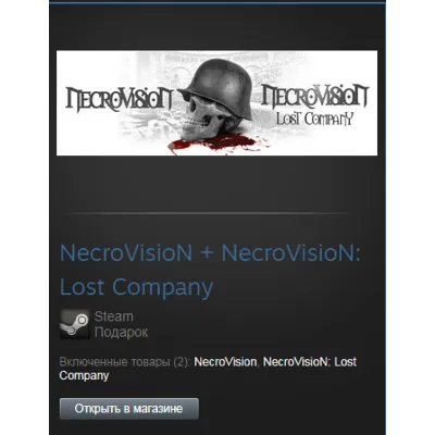 NecroVisioN + Lost Company (Steam Gift Region Free) - irongamers.ru