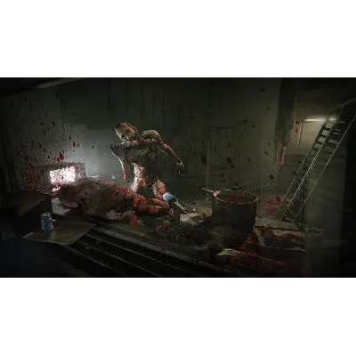 Outlast: Whistleblower АВТОДОСТАВКА STEAM DLC РОССИЯ - irongamers.ru