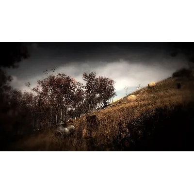 Slender: The Arrival АВТОДОСТАВКА STEAM GLOBAL МГНОВЕННО ЛИЦЕНЗИЯ - irongamers.ru