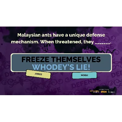 The Jackbox Party Pack 2 АВТОДОСТАВКА STEAM GLOBAL МГНОВЕННО ЛИЦЕНЗИЯ - irongamers.ru