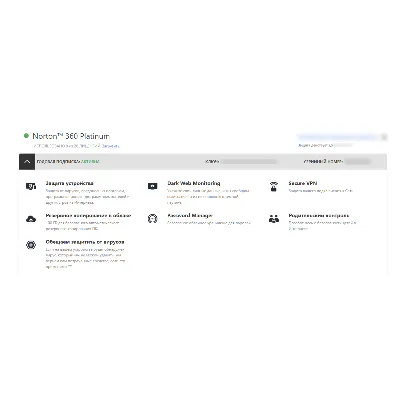 Norton 360 Platinum 20 devices / 16 месяцев (485 дней) Global - irongamers.ru
