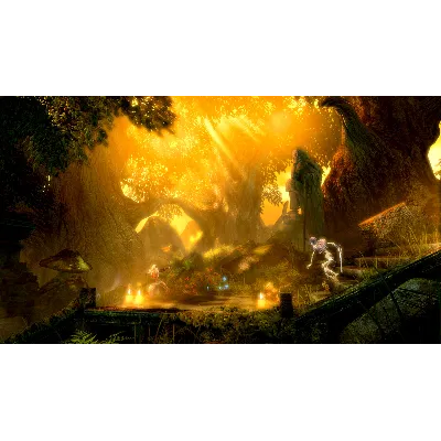 Trine Enchanted Edition АВТОДОСТАВКА STEAM GLOBAL МГНОВЕННО ЛИЦЕНЗИЯ - irongamers.ru