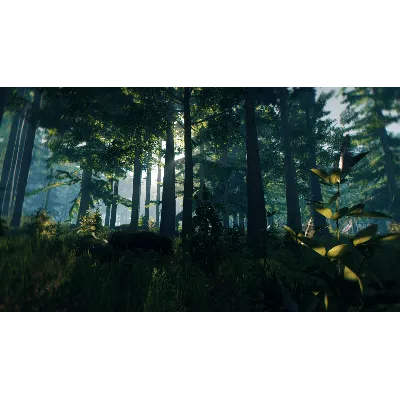 Sons Of The Forest + The Forest ОНЛАЙН \STEAM АККАУНТ - irongamers.ru