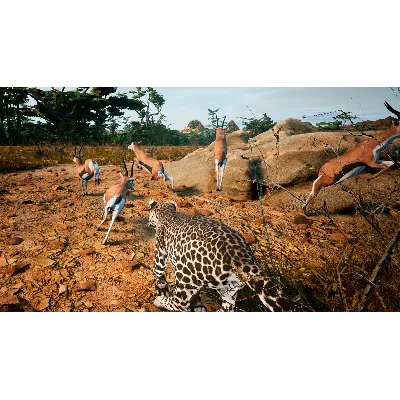 Animalia Survival АВТОДОСТАВКА STEAM GLOBAL МГНОВЕННО ЛИЦЕНЗИЯ - irongamers.ru