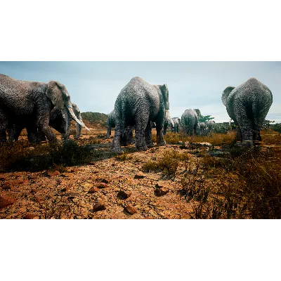 Animalia Survival АВТОДОСТАВКА STEAM GLOBAL МГНОВЕННО ЛИЦЕНЗИЯ - irongamers.ru