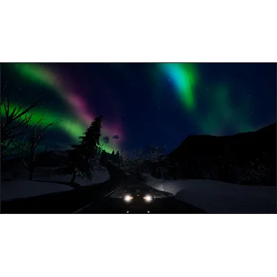 Fireworks Simulator: Realistic АВТОДОСТАВКА STEAM GLOBAL МГНОВЕННО ЛИЦЕНЗИЯ - irongamers.ru