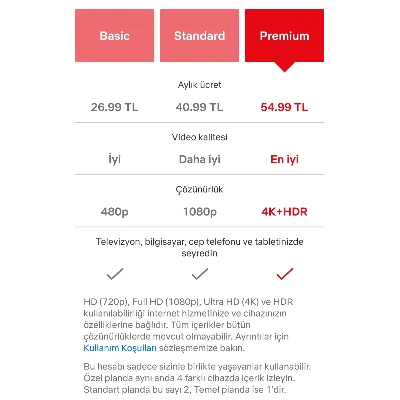 ПОДАРОЧНАЯ КАРТА NETFLIX НА 100 TL ПРОЧИТАЙТЕ ОПИСАНИ - irongamers.ru