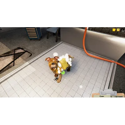 Animal Shelter АВТОДОСТАВКА STEAM GLOBAL МГНОВЕННО ЛИЦЕНЗИЯ - irongamers.ru
