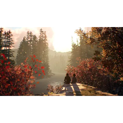 LIFE IS STRANGE 2 COMPLETE SEASON XBOX КЛЮЧ - irongamers.ru