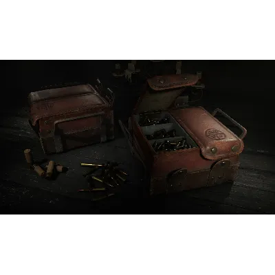 Hunt: Showdown 1896 - Meridian Turncoat АВТОДОСТАВКА STEAM РОССИЯ - irongamers.ru
