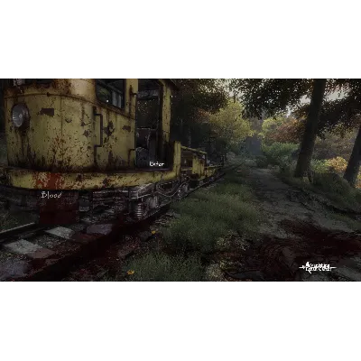 The Vanishing of Ethan Carter Collector&acute;s Edition Upgr АВТОДОСТАВКА STEAM GLOBAL МГНО - irongamers.ru