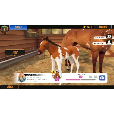 Rival Stars Horse Racing Desktop Edition АВТОДОСТАВКА STEAM GLOBAL МГНОВЕННО ЛИЦЕНЗИЯ - irongamers.ru