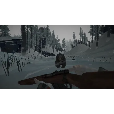 Music for The Long Dark - Volume One DLC АВТОДОСТАВКА STEAM РОССИЯ - irongamers.ru