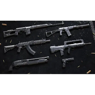 Insurgency: Sandstorm - Carbon Fiber Weapon Skin Set DLC AUTODELIVERY STEAM RUSSIA - irongamers.ru