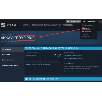 ПОПОЛНЕНИЕ БАЛАНСА STEAM (РУБ) - БЫСТРО - irongamers.ru