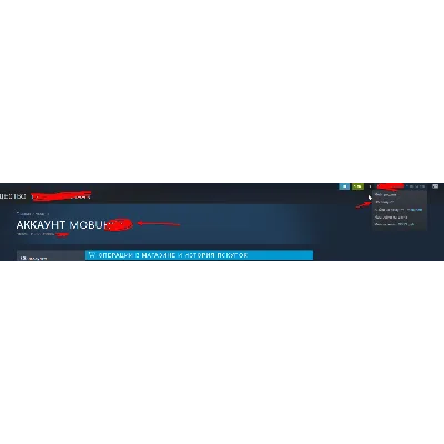 Автопополнение Steam RUB/KZT/CIS | 24/7 | NaKaStore - irongamers.ru