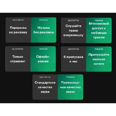 1/3/6/12 МЕС. SPOTIFY PREMIUM РАБОТАЕТ В РФ | АВТО - irongamers.ru