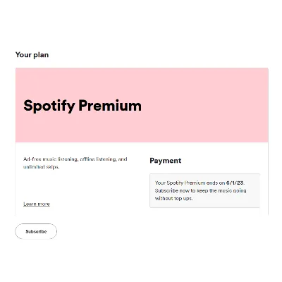 1/3/6/12 SPOTIFY PREMIUM РАБОТАЕТ В РФ | АВТО - irongamers.ru