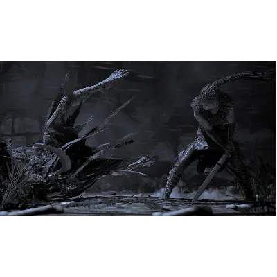 Hellblade: Senua&acute;s Sacrifice XBOX ONE / X|S Ключ - irongamers.ru