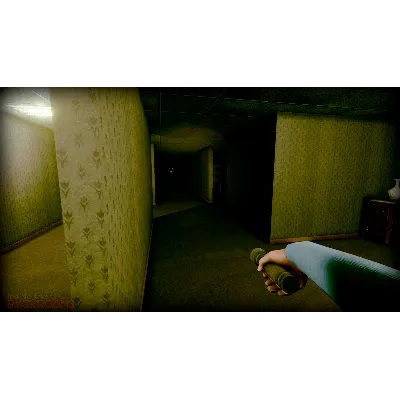 Inside The Backrooms АВТОДОСТАВКА STEAM GLOBAL МГНОВЕННО ЛИЦЕНЗИЯ - irongamers.ru