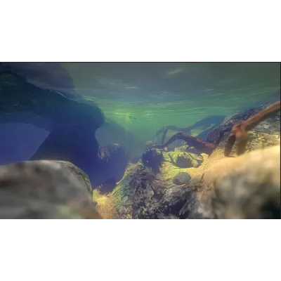 Feed and Grow: Fish АВТОДОСТАВКА Steam RU/BY/KZ/UA - irongamers.ru
