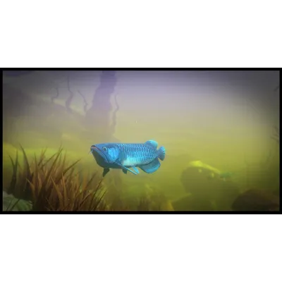 Feed and Grow: Fish АВТОДОСТАВКА Steam RU/BY/KZ/UA - irongamers.ru