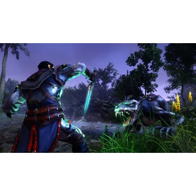 Risen 3 - Complete Edition | Steam Gift Россия - irongamers.ru