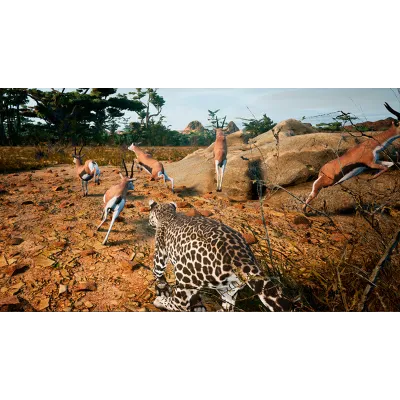 Animalia Survival | Steam Gift Россия - irongamers.ru