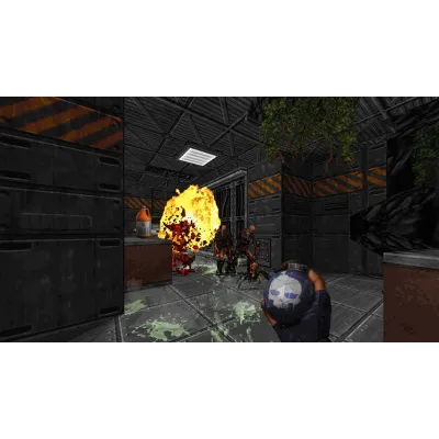 Ion Fury | Steam Gift Россия - irongamers.ru