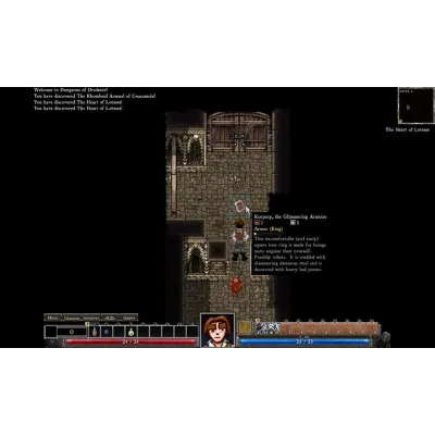 Dungeons of Dredmor Complete | Steam Gift Россия - irongamers.ru
