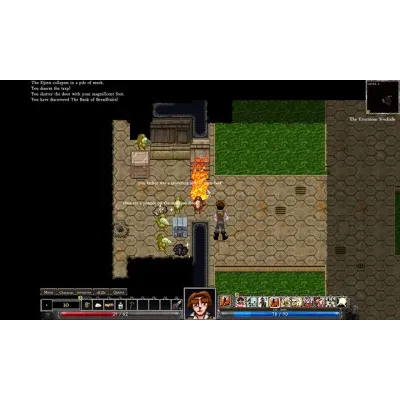 Dungeons of Dredmor Complete | Steam Gift Россия - irongamers.ru