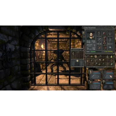 Legend of Grimrock | Steam Gift Россия - irongamers.ru
