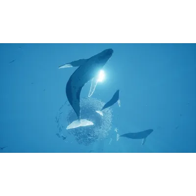 ABZU | Steam Gift Россия - irongamers.ru