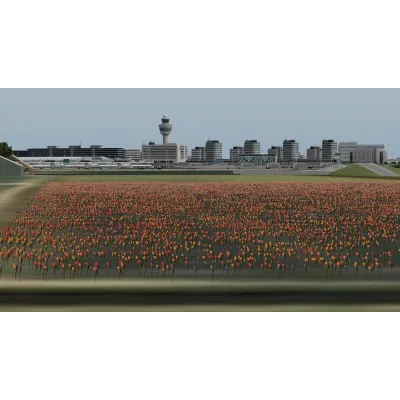 X-Plane 11 - Add-on: Aerosoft - Airport Amsterdam DLC | - irongamers.ru