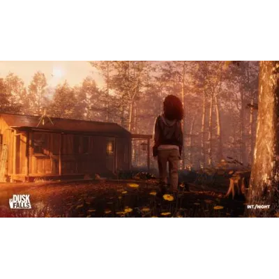 As Dusk Falls STEAM 🅿 𝗣𝐀𝐘𝗣𝐀𝐋 - irongamers.ru