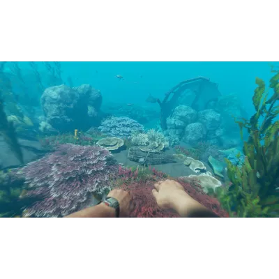 Stranded Deep | АВТОДОСТАВКА [Россия - Steam Gift] - irongamers.ru