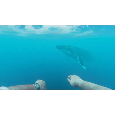 Stranded Deep | АВТОДОСТАВКА [Россия - Steam Gift] - irongamers.ru