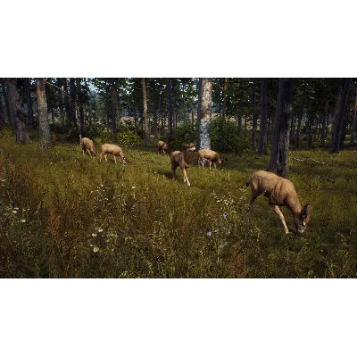 WAY OF THE HUNTER ELITE EDITION XBOX|XS КЛЮЧ - irongamers.ru