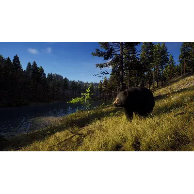 WAY OF THE HUNTER ELITE EDITION XBOX|XS КЛЮЧ - irongamers.ru