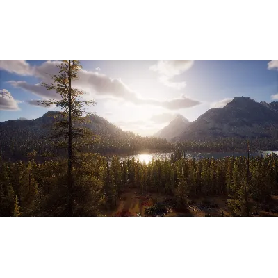 WAY OF THE HUNTER ELITE EDITION XBOX|XS КЛЮЧ - irongamers.ru