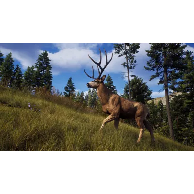 Way of the Hunter | Steam Gift Россия - irongamers.ru