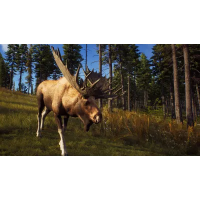 Way of the Hunter | Steam Gift Россия - irongamers.ru