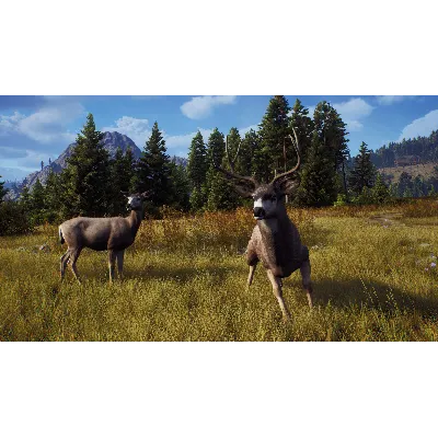 WAY OF THE HUNTER XBOX|XS КЛЮЧ - irongamers.ru