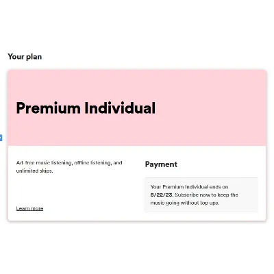 SPOTIFY PREMIUM 1●3● МЕСЯЦЕВ НА ЛЮБОЙ АККАУНТ СПОТИФАЙ ПРЕМИУМ - irongamers.ru