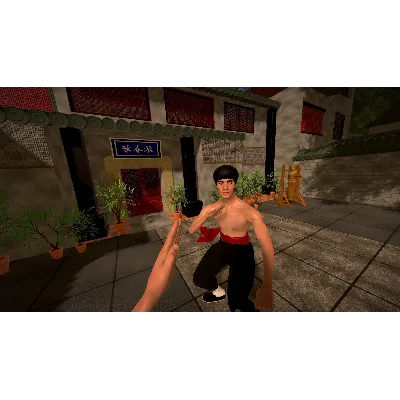 Dragon Fist: VR Kung Fu ⭐Steam\РФ+Весь Мир\Key⭐ + - irongamers.ru