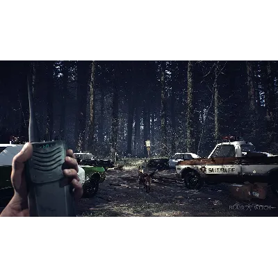 Blair Witch XBOX ONE / SERIES X|S / WIN10-11 Ключ ⭐ - irongamers.ru