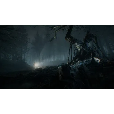 Blair Witch XBOX ONE / SERIES X|S / WIN10-11 Ключ ⭐ - irongamers.ru