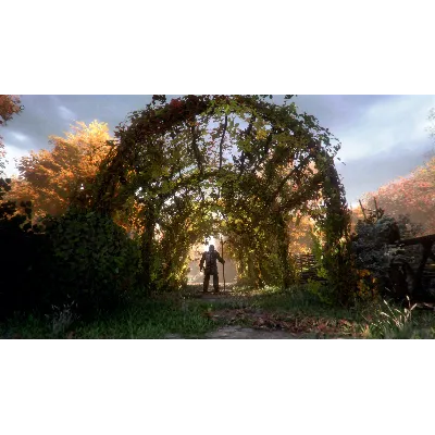 A PLAGUE TALE: INNOCENCE XBOX ONE|XS КЛЮЧ - irongamers.ru
