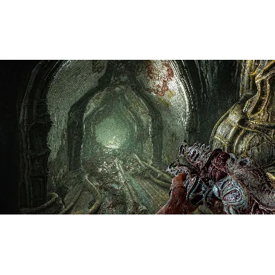 SCORN XBOX SERIES X|S КЛЮЧ USA ЛИЦЕНЗИЯ - irongamers.ru