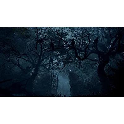 Resident Evil 4 REMAKE (2023) XBOX SERIES X|S Ключ - irongamers.ru